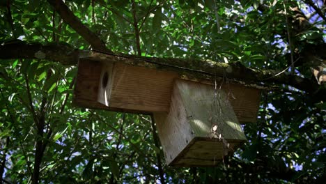 Custom-nesting-box-for small-bird-species
