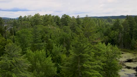Drone-shot-through-the-trees-revealing-the-islands-and-mountains-of-the-Adirondack-forest-preserve