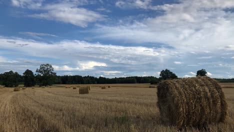 Immerse-in-the-golden-landscape-of-hay-bales-in-the-summer-field