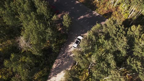A-drone-birds-eye-view-of-a-car-in-Guardsman-Pass,-Utah,-through-forest-trees