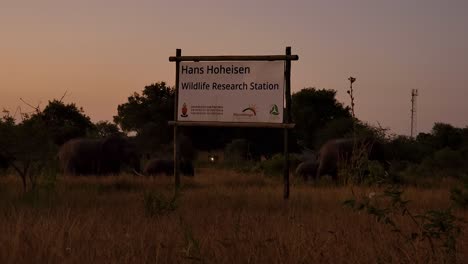 Hans-Hoheisen-Wildlife-research-station-signage-with-elephants-crossing-in-background-at-sunset