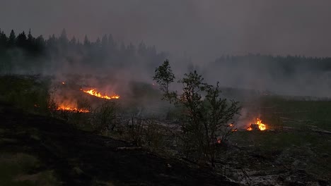 Canadian-forest-burning-aerial-shot-flying-over-remaining-trees-with-fire-in-the-background