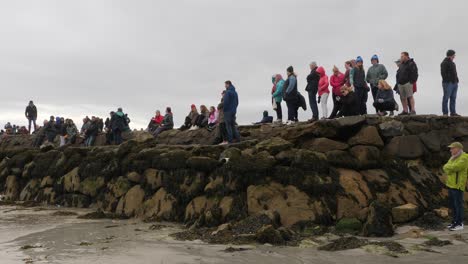 Spectators-stand-on-mossy-algae-covered-rocks-observing-boat-race