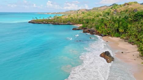 Aerial-drone-shot-showing-paradise-on-earth-with-clear-water,-private-beach-and-palm-tree-Plantation-at-coastline-in-sun---Playa-de-Amor,-Las-Galeras