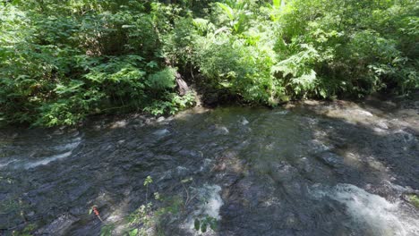 Pan-stabilized-shot-of-a-river-with-lots-of-vegetation