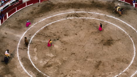 Aerial-view-of-a-matadors-fighting-a-bull-at-a-bullfighting-event,-in-Aguascalientes,-Mexico