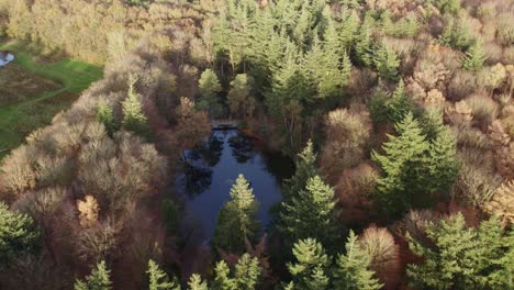 Drone-view-of-pond-Fonteinbos-Oudemirdum-during-autumn,-aerial