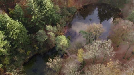 Tilt-up-shot-of-small-pond-between-autumn-forrest-in-Oudemirdum-Friesland,-aerial