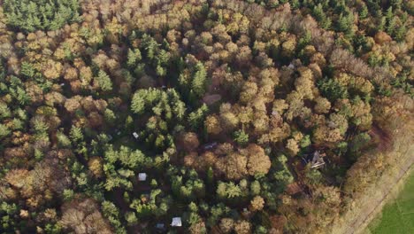 Oudemirdum-Friesland-forrest-landscape-during-autumn,-aerial