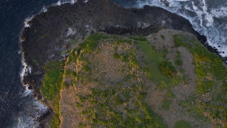 Landscape-Of-Cook-Island-In-New-South-Wales,-Australia---aerial-drone-shot