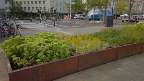 Blühende-Blütenpflanzen-In-Riesigen-Quadratischen-Töpfen-Auf-Den-Straßen-Der-Stadt-Eindhoven,-Niederlande
