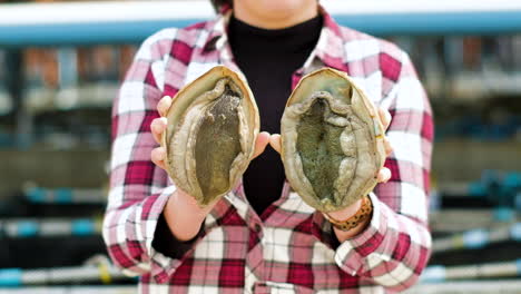 Lady-holds-up-two-large-Haliotis-midae-South-African-abalone