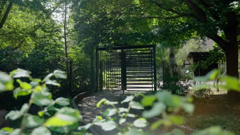 Revolving-Door-Forest-Entry-Animal-Park-Green-Woods