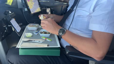 Pilot,-Der-Seine-Mannschaftsmahlzeit-In-Einem-Echtzeitflug-Während-Der-Reiseflugphase-Isst