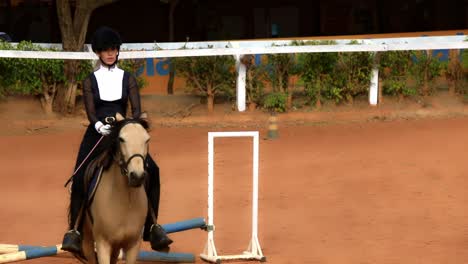 Pferd-Mit-Jockey-Springt-über-Hürde-Auf-Hindernisparcours