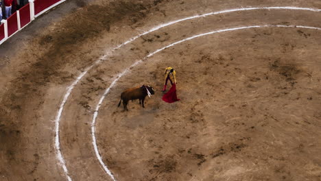 Aerial-telephoto-shot-of-a-matador-tricking-a-bull-with-a-red-cloth,-in-Mexico