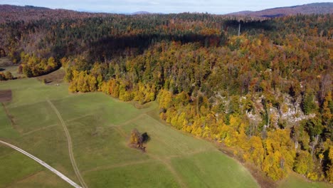 Beautiful-Slovenian-forest-in-autumn-season,-orange-brown-trees,-aerial-view