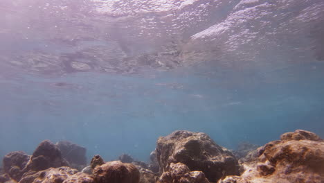 Filmische-Unterwasseraufnahme-Von-Sonnenstrahlen,-Die-Durch-Die-Meeresoberfläche-Brechen-Und-Ätzmittel-Auf-Der-Oberfläche-Des-Korallenriffs-Erzeugen,-In-4K,-120-Fps,-Slomo