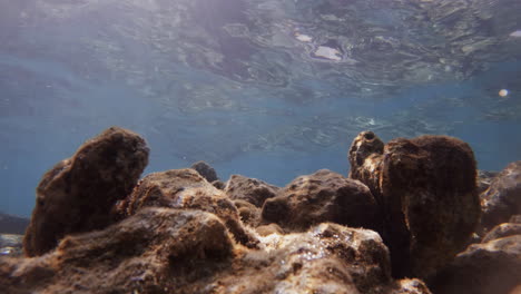 Filmische-Unterwasseraufnahme-Von-Korallen-Mit-Kuastischen-Sonnenstrahlen-Durch-Die-Wasseroberfläche-In-Klarem-Wasser-In-4k,-Slomo