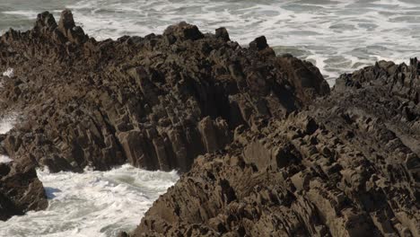 wide-shot-of-sea-crashing-into-jagged-sedimentary-rocks-in-the-Cornish-sea-at-Hartland-Quay,-Stoke,-Hartland,-Bideford