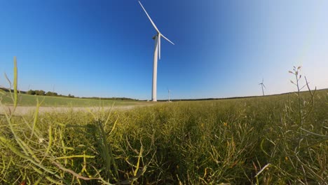 Slow-Motion-Wind-Farm-Turbine-in-the-Agricultural-Fields-on-a-Sunny-Summer-Day