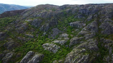 Freiliegende-Felsige-Schluchten-Mit-Grüner-üppiger-Vegetation,-Pico-Del-Fraile-Cañon-Del-Rio-Tera-Spanien