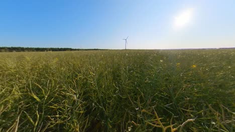 Slomo-In-Richtung-Windkraftanlage-In-Den-Landwirtschaftlichen-Feldern-An-Einem-Sonnigen-Sommertag