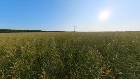 Windkraftanlage-In-Zeitlupe-Auf-Den-Landwirtschaftlichen-Feldern-An-Einem-Sonnigen-Sommertag