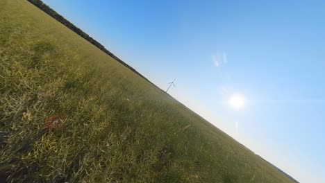 Wind-Farm-Turbine-in-the-Agricultural-Fields-on-a-Sunny-Summer-Day