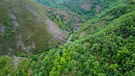 Rio-bibei-bibay-river-winding-at-base-of-canyon-green-lush-vegetation