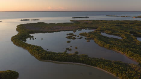 Tropical-rainforest-river-delta-wetlands-flowing-into-sea-at-dusk