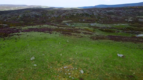 Beautiful-sprawling-grassy-hillside-with-exposed-rocks-of-arroyo-de-los-toriles-spain