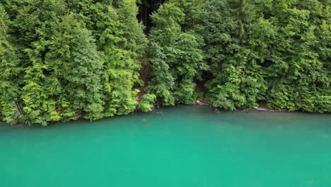 Lush-green-Alpine-wilderness-adorning-Klontalersee-lake-shore