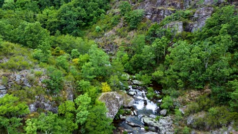 Rio-bibei-flowing-water-river-rushes-through-mountainous-landscape-of-zamora-spain