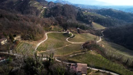 Aerial-landscape-view-of-a-road-winding-through-vineyard-rows-in-the-prosecco-hills,-Italy,-on-a-winter-day