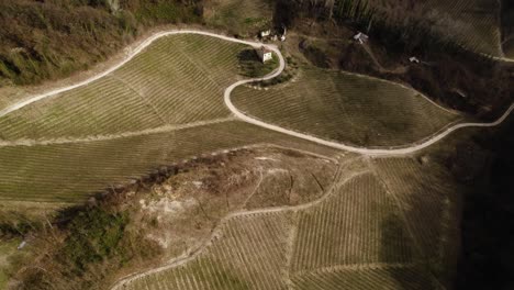 Aerial-landscape-view-of-a-road-winding-through-vineyard-rows-in-the-italian-prosecco-hills,-on-a-winter-day