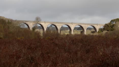 Mid-shot-of-Carnon-Viaduct-with-Meadow-in-foreground