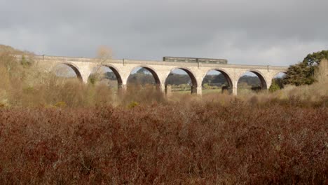 Mid-shot-of-train-crossing-the-Carnon-Viaduct-with-Meadow-in-foreground
