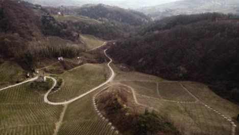Aerial-landscape-view-over-vineyard-rows-in-the-italian-prosecco-hills,-on-a-winter-day