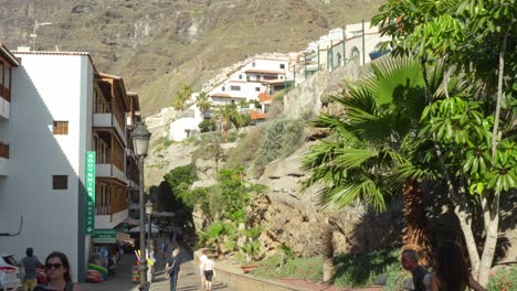 Establecimientos-Comerciales-En-La-Playa-De-Los-Guios-Tenerife-España