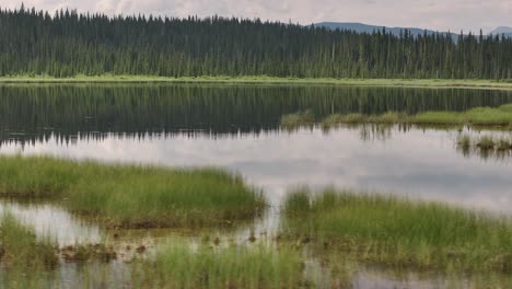 Eine-Seitwärts-Aufsteigende-Drohne-Fliegt-über-Einen-Spiegelähnlichen-Teich-Und-Enthüllt-Die-Dunstigen-Sommerausläufer-Von-Alberta,-Kanada