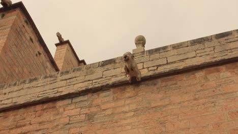 Low-angle-shot-of-carved-gargoyles-along-the-roof-of-parish-church-of-Santa-Maria-in-Sagunto,-Spain-on-a-cloudy-day