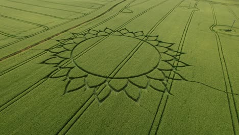 Wunderschönes-Florales-Kornkreismuster-Design-Auf-Ackerland,-Drohnenansicht-Aus-Der-Luft