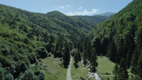 Aerial-view-of-a-mountain-valley-traversed-by-a-river-and-a-country-road,-surrounded-by-verdant-fir-forests-under-a-blue-sky