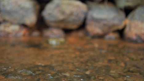 Static-out-of-focus-shot-of-a-small-crystal-clear-stream-flowing-along