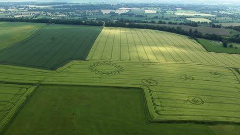 Panoramic-Aerial-View-Of-Farmland-With-Crop-Flower-Circle-Near-Potterne-In-Wiltshire-County,-England