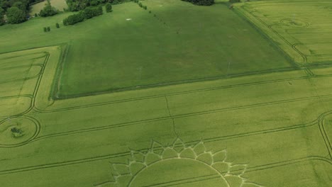 Drohne-Enthüllte-Kornkreis-Blumendesign-Auf-Den-Grünen-Feldern-In-Der-Nähe-Von-Potterne,-Wiltshire,-England