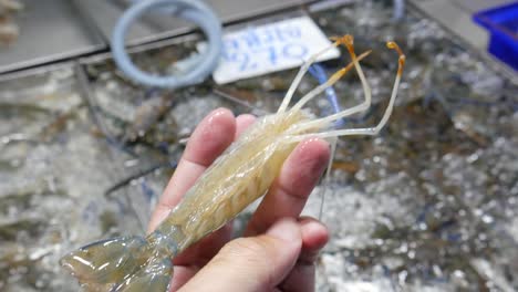 blue-river-prawn-live-raw-fresh-at-local-fish-market-for-sale-thailand-asia