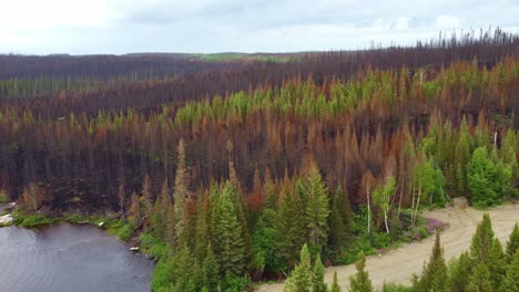 Aerial-Dolly-Left-Shot-Of-Damage-Caused-By-Quebec-Wildfires-Near-Lakeside,-Lebel-Sur-Quévillon---Canada
