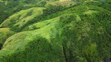 Lush-green-hills-with-fresh-grass-and-exotic-jungle-forest,-aerial-orbit,-day